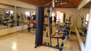 Fitness centrum a/nebo fitness zařízení v ubytování Hotel Punakora Aconcagua