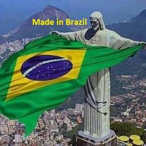 uma bandeira brasileira no topo da estátua da liberdade em Made in Brazil em Gardone Riviera