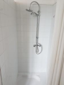a shower with a shower head in a bathroom at Auberge Le Guinefort in Léhon