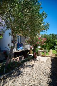 a house with a tree and a bench next to it at Balen Guest house in Rab +33 photos