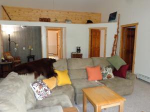 a dog standing on a couch in a living room at Antler's Rest Bed and Breakfast in Glennallen