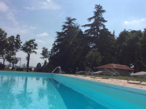 una gran piscina azul con sillas y árboles en Agriturismo Podere Luciano, en Acqui Terme