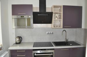 a kitchen with a sink and a stove top oven at Ubytování Javor in Pec pod Sněžkou