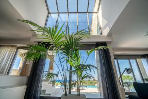 a room with a glass ceiling with palm trees at Akemi Luxury Villa in Tsilivi