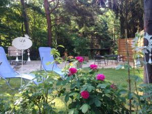 Zahrada ubytování Hotel Sonnenhof