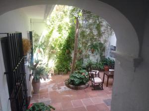 Zahrada ubytování Hostal Gran Capitan