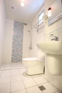 a bathroom with a toilet and a sink at Aunt's Bed and Breakfast in Taitung City +25 photos