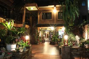 清迈SK家庭酒店1的一家摆满植物和灯光的商店