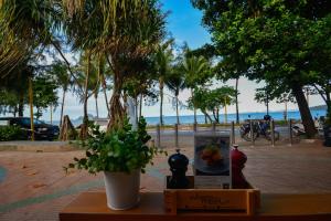 a potted plant sitting on a table next to a beach at iRest Ao Nang Seafront in Ao Nang Beach