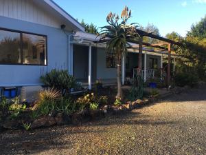 a house with a palm tree in the front yard at Kerikeri Garden Homestead in Kerikeri