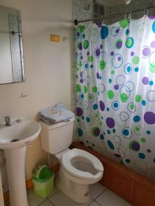 y baño con aseo y cortina de ducha. en Resivic, en Antofagasta