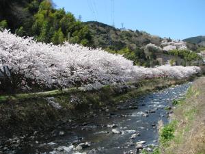 Gallery image of Yugawara Onsen Kawasegien Isuzu Hotel in Atami