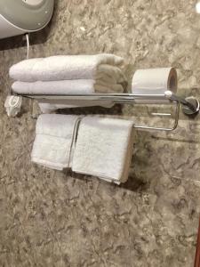 a towel rack with towels on it in a bathroom at Hotel Khamsum in Paro