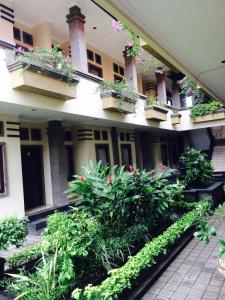 Zahrada ubytování Tanjung Sari Inn