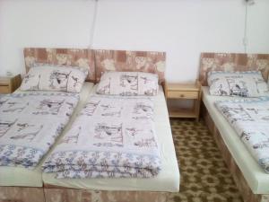 two twin beds in a room with two tables at Apartment Vysocina in Svratka
