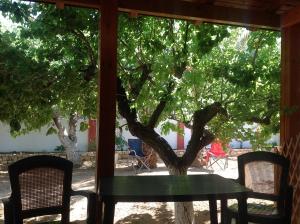 Zahrada ubytování Hotel Petras Beach