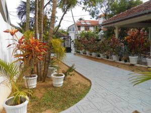 Zahrada ubytování Villa Rodrigo
