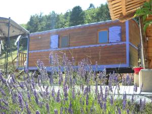 a tiny house in a yard with purple flowers at Aurel inattendu in Aurel