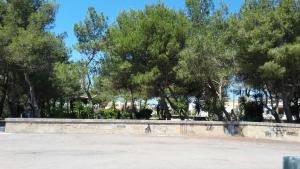 un parque con árboles y una pared de piedra en Casa Vacanze Rosalba en Vignacastrisi