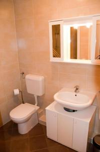 Kúpeľňa v ubytovaní ROZA Apartment