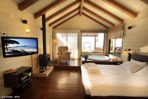 1 dormitorio con 1 cama, TV y bañera en green island en Ma'ale Gamla