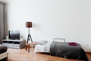 Televízia a/alebo spoločenská miestnosť v ubytovaní Apartment Gesse Jirsikova
