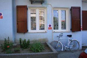 a bike parked in front of a building with windows at Delfino Est in Rosapineta