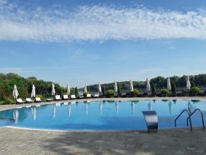 a large swimming pool with chairs and umbrellas at Prestige Hotel in Belene