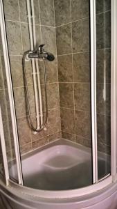 W łazience znajduje się prysznic ze szklanymi drzwiami. w obiekcie Apartment Antić w mieście Sokobanja