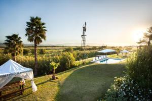 a garden with a swimming pool and palm trees at De Zeekoe Guest Farm in Oudtshoorn