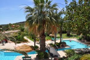 a resort with a palm tree and a swimming pool at Green Village Resort in Villasimius