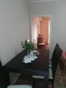 a black dining room table with a plant on it at Apartmani Cuce in Kotor