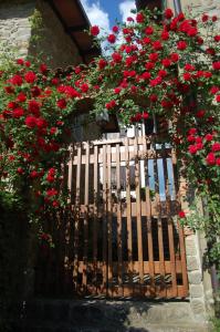 A garden outside Il Nido - Private villa with pool and jacuzzi