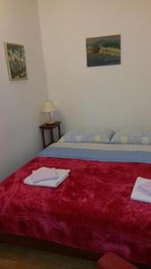 ein Schlafzimmer mit einem Bett mit einer roten Decke in der Unterkunft Old Harbour City Center Apartment in Dubrovnik