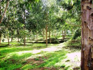 Zahrada ubytování Camping du Soleil