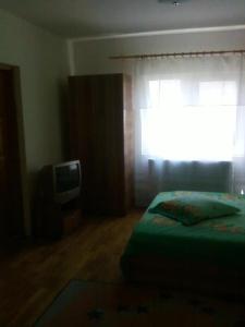 1 dormitorio con cama, ventana y TV en Vila Elena si Ionut, en Breaza