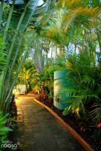 un jardín con palmeras y una pasarela en Noosa Village River Resort en Noosaville