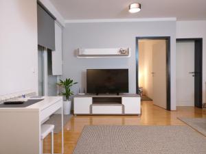 Televízia a/alebo spoločenská miestnosť v ubytovaní Apartman Luna near Zagreb Airport
