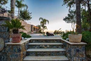 a set of stairs with palm trees and a building at Villa Mos in Kalamata