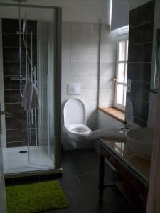 a bathroom with a toilet and a shower and a sink at Maison des Isles in Saint-Hilaire-du-Harcouët