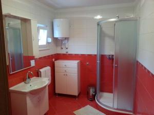 a bathroom with a shower and a sink at Apartment Branko in Vinišće