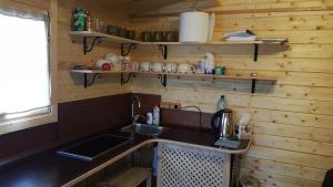 a kitchen with a sink in a wooden wall at Jaunbirzes in Vecsaule +66 photos