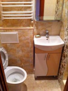 un piccolo bagno con servizi igienici e lavandino di Apartment on Zarvanskaya in Old Town a Kam"janec'-Podil's'kyj