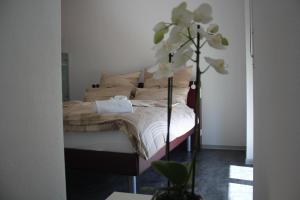 Voodi või voodid majutusasutuse Albergo Porta Verzasca toas