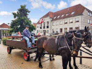 Un uomo è seduto su una carrozza trainata da cavalli di Det Gamle Rådhus a Gråsten