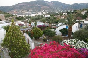 Gallery image of Alexandros Hotel in Platis Gialos