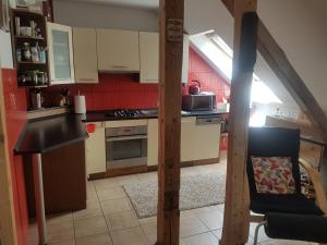 Kuchyň nebo kuchyňský kout v ubytování Apartman pod Svatou Horou