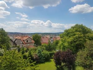 Příroda nedaleko apartmánu