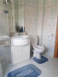 Koupelna v ubytování Apartman pod Svatou Horou