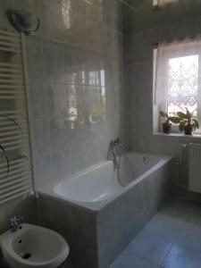 Koupelna v ubytování Apartman pod Svatou Horou